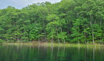 Lot WITCHES LAKE RD, Arbor Vitae, WI 54568