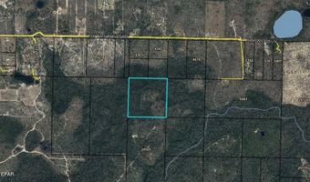 NW Camp Head Road, Altha, FL 32421