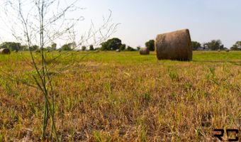 1130 15000 Rd, Altamont, KS 67330