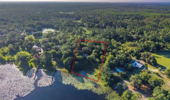 54544 BUCKHORN Rd, Astor, FL 32102