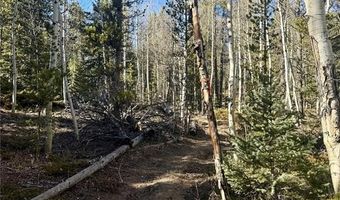 235 WILLOW Ln, Alma, CO 80440