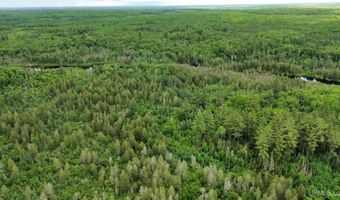 40 Acres Wide Waters Rd, Amasa, MI 49902