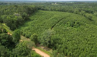 0 County Road 204, Ariton, AL 36311