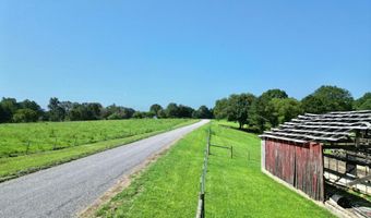 1318 COUNTY ROAD 1037, Addison, AL 35540