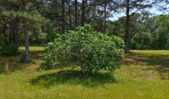 23826 Opine Rd, Andalusia, AL 36421