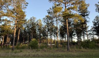 506 Nature Trl, Blackville, SC 29817