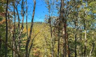 212 Judson Ridge Rd, Arden, NC 28704