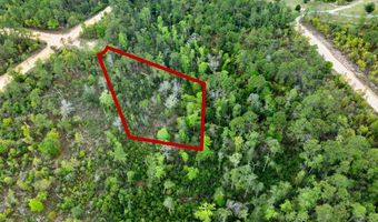 CASTLE CIRCLE, Alford, FL 32420