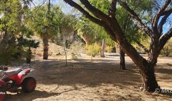 4855 Gold Butte Rd, Bunkerville, NV 89007