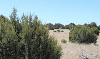 80 County Road 8620, Concho, AZ 85924