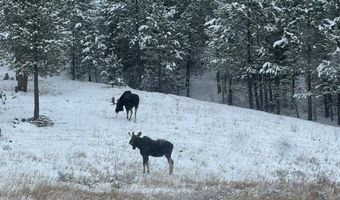 County Road 59, Allenspark, CO 80510