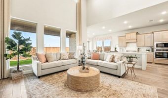 2017 Amber Gate Dr, Anna, TX 75409