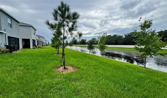 294 MANGROVE SHADE Cir, Apollo Beach, FL 33572