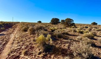 N7009 40 Acres, Chambers, AZ 86502