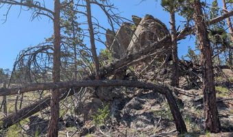 Old Camp Rd, Bellvue, CO 80512