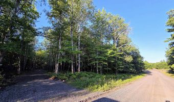 17975 Bear Lk, Hancock, MI 49930