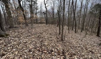 3750 E New Roe Rd, Adolphus, KY 42120