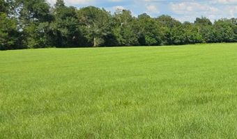 232 344 County Road 344, Bell, FL 32619