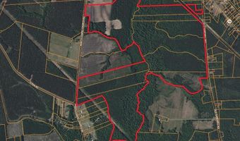 Sr 1932, Aurora, NC 27806