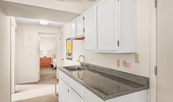 1275 Snowbunny Lane 2, Aspen, CO 81611