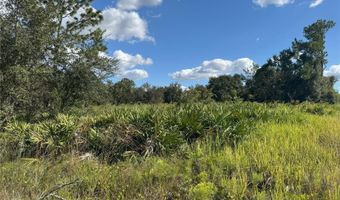 0 ALTURAS BABSON PARK CUT OFF Rd, Bartow, FL 33830