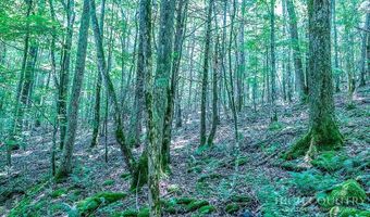 218 Old Mountain Rd, Banner Elk, NC 28604