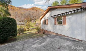 480 Paint Fork Rd, Barnardsville, NC 28709