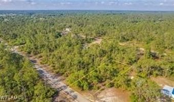 2109 Irving Ave, Alva, FL 33920