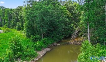 Unit # 0 Murphree Valley Road, Altoona, AL 35952