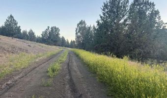 639 Pheasant Dr, Alturas, CA 96101