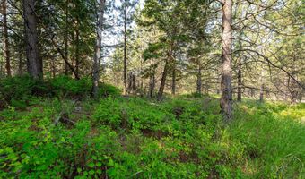 23400 Us Highway 93 N, Arlee, MT 59821
