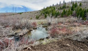 unit 1 1, Bloomington, ID 83223