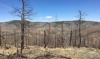 3600 Moondance Way, Bellvue, CO 80512