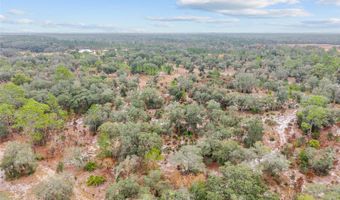 NE 131 Place, Archer, FL 32618
