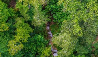 Holiday Lake Rd, Appomattox, VA 24522
