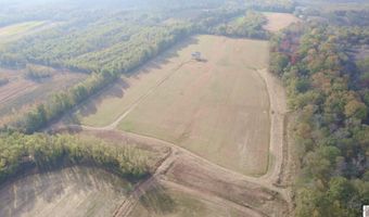 Holloway Landing Road, Barlow, KY 42024