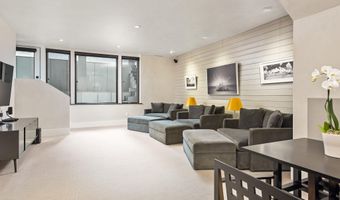 307 N Sixth St, Aspen, CO 81611