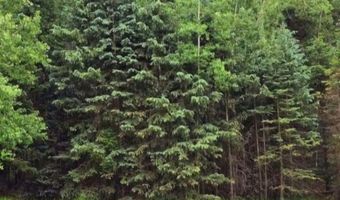 662 Spring Valley Ln, Florissant, CO 80816