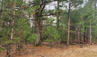 Dyke Avenue lot 8, Adams, WI 53910