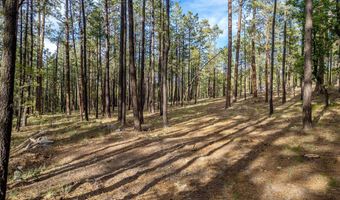 15 Co Rd 2083, Alpine, AZ 85920
