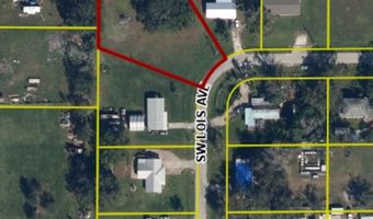 2298 SW LOIS Ave, Arcadia, FL 34266