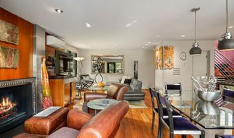 650 S Monarch St 9, Aspen, CO 81611