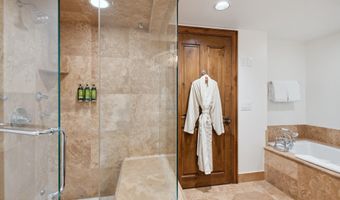 415 E Dean St. Unit 26 Week 33, Aspen, CO 81611