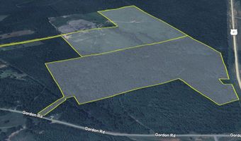 MLK Jr. Parkway, Barnesville, GA 30204