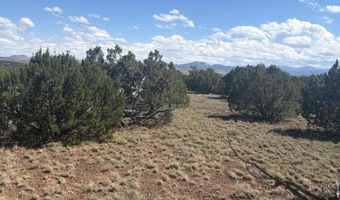 29 B County Road N 8339, Concho, AZ 85924