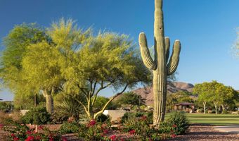 40741 N Citrus Canyon Trl, Anthem, AZ 85086