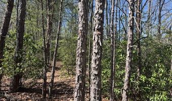 000 Holland Farm Rd, Andrews, NC 28901