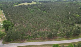 167 E W Morgan, Arcadia, LA 71001