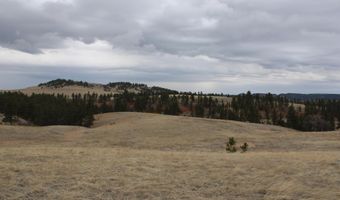 Tract 2 Lone Elk Ranch, Alva, WY 82711