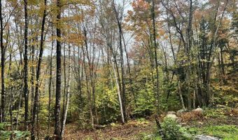 01-137 2 Manko / Route 5 Rd, Albany Twp., ME 04217